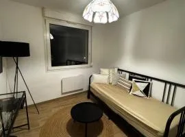 Le Sarsour Appartement Strasbourg Centre