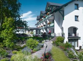 Hotel & Ferienappartements Edelweiss, hotelli kohteessa Willingen