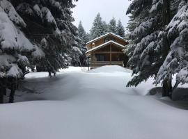 Uludag Orman Koskleri, lodge ở Uludag