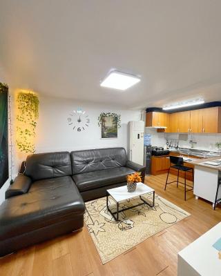 Newly renovated spacious 2 bedroom unit in HBC #1