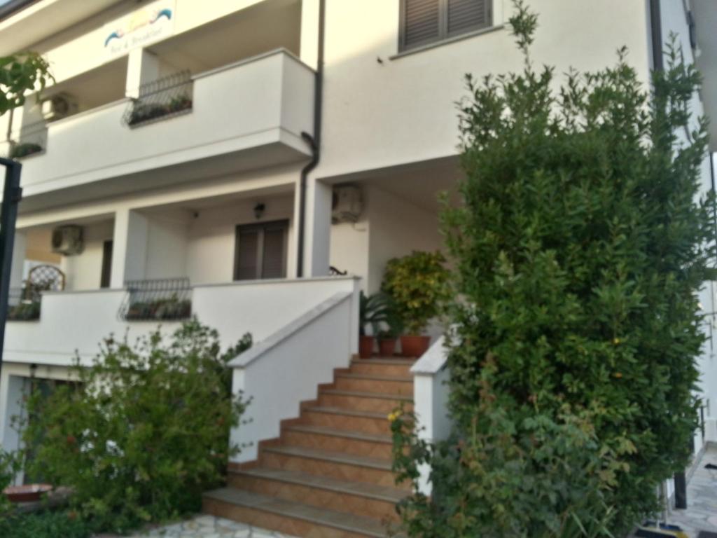 a house with stairs and plants in front of it at Zama Bed&Breakfast in Scalea