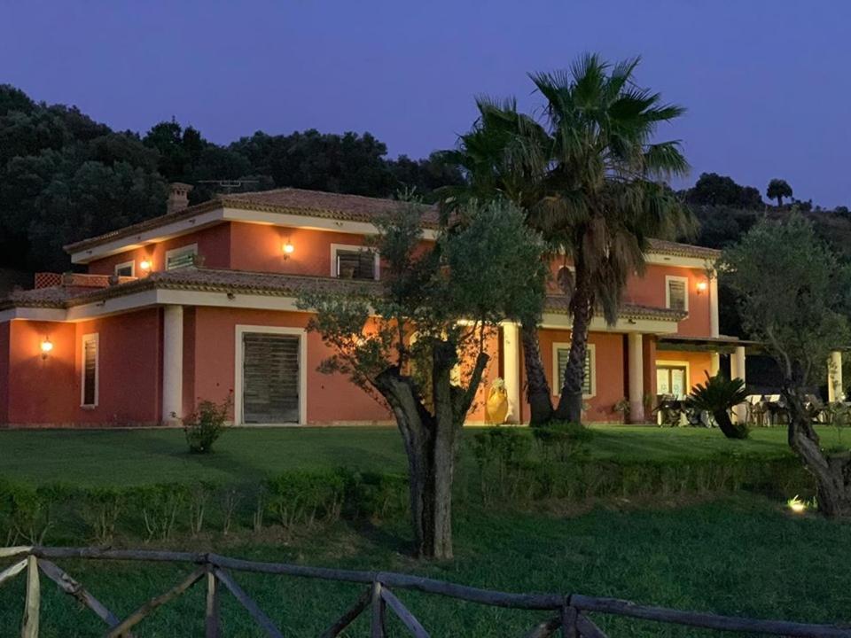 une maison avec un palmier en face dans l'établissement Casale degli Ulivi, à Cirò Marina