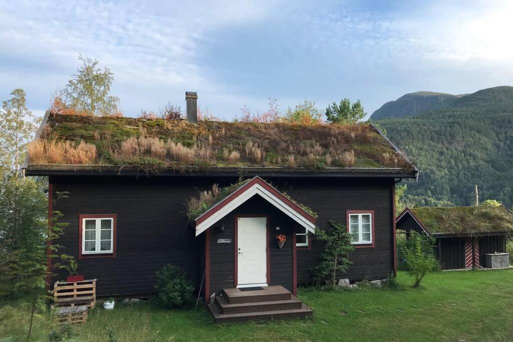 Naturlandskabet i nærheden af feriehuset