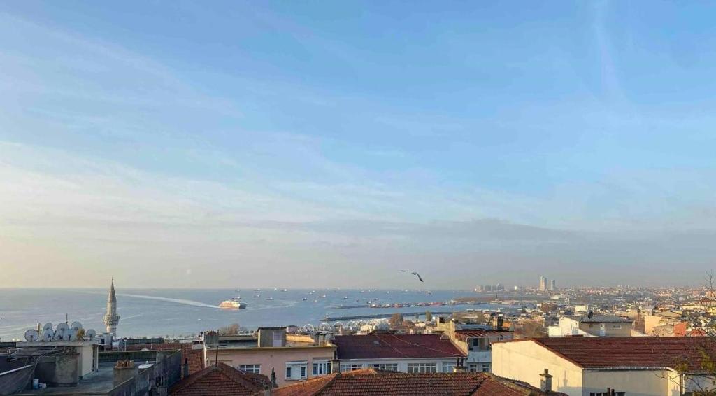 a city with a view of the water and buildings at Four-G Hotel in Istanbul