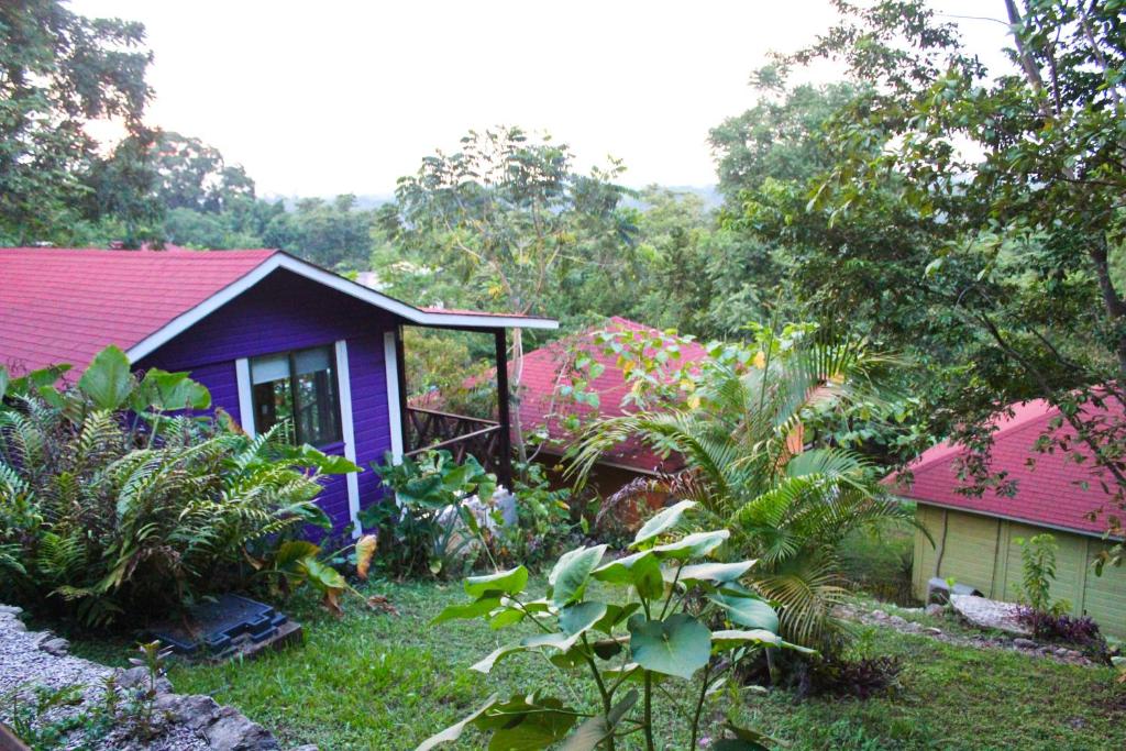 Un jardín fuera de Winíka Alterra