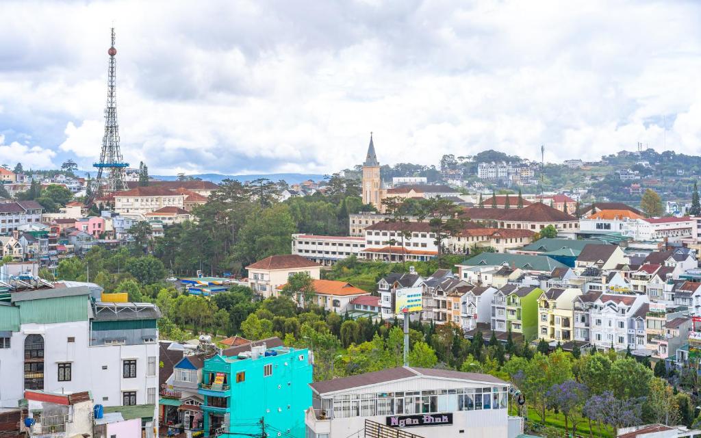 Vedere generală la Da Lat sau o vedere a orașului de la acest hotel