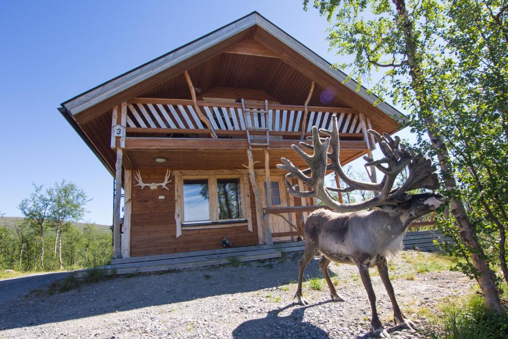 een hertenbeeld voor een blokhut bij Saivaara Cottages in Kilpisjärvi