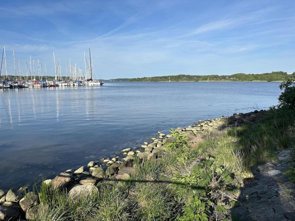 Naturlandskabet i nærheden af lejligheden