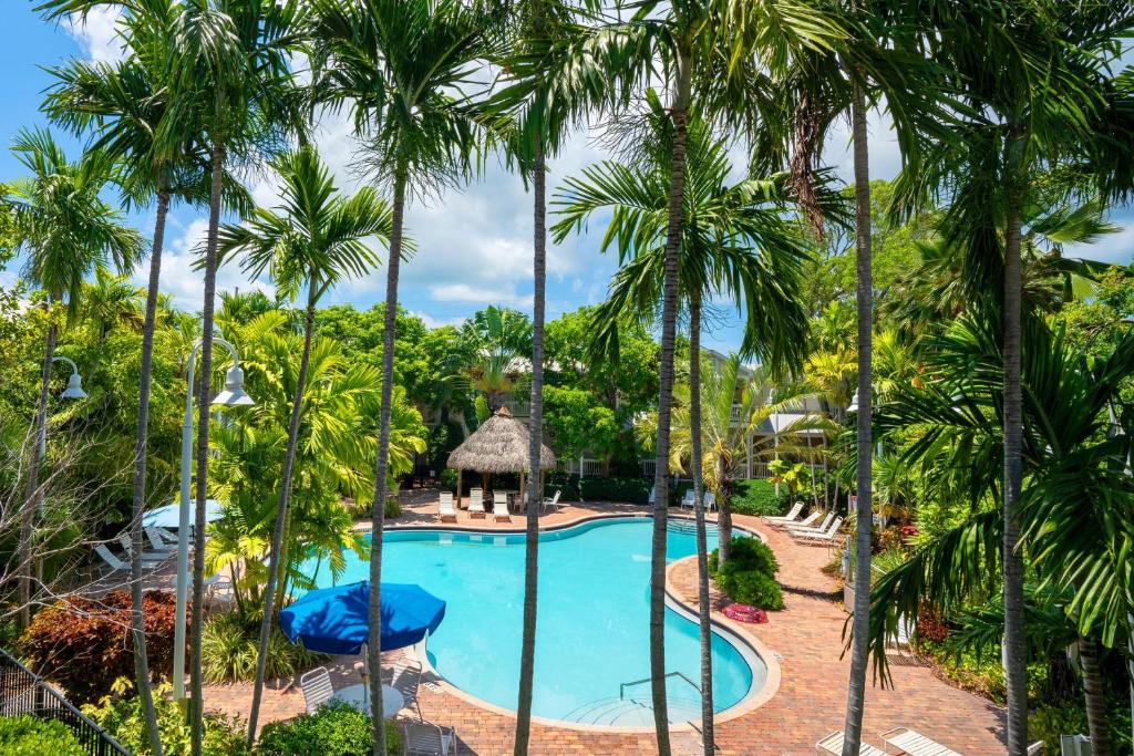 vista aerea su una piscina del resort con palme di Coral Hammock Poolside Home a Key West