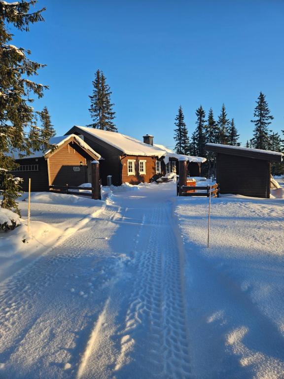 Hytte i Ringsaker (Ljøsheim/Sjusjøen) v zime