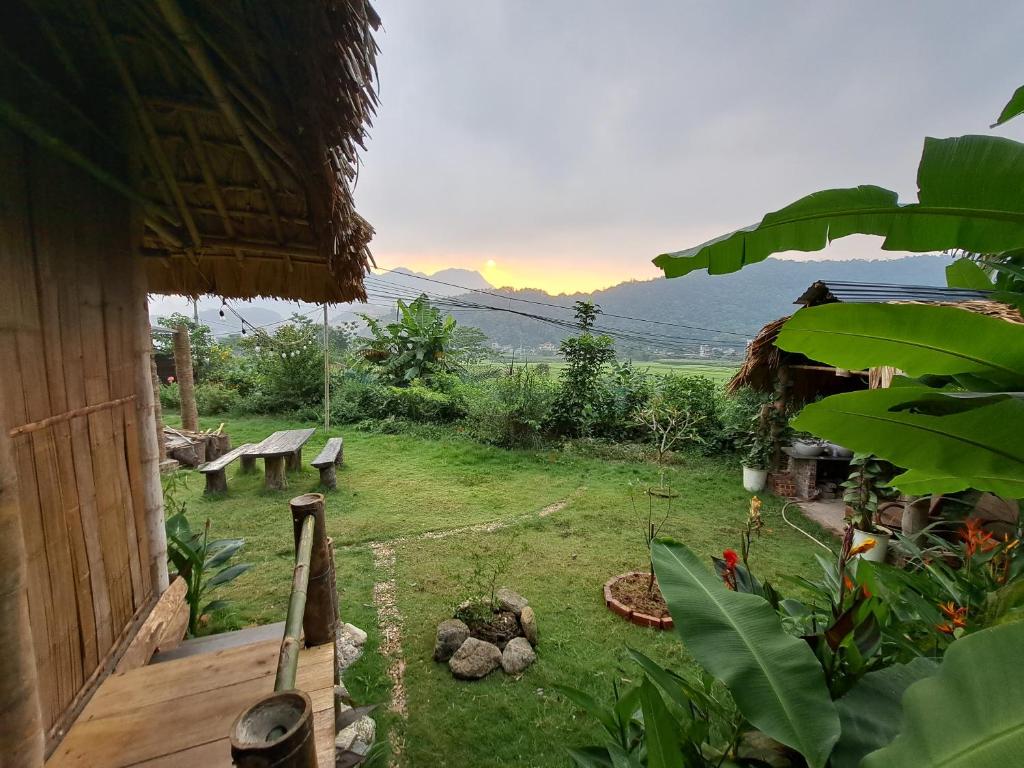 a view of a garden with a bench and a house at Homestay field - bungalow, Ha giang loop tour, motorbikes rental in Ha Giang