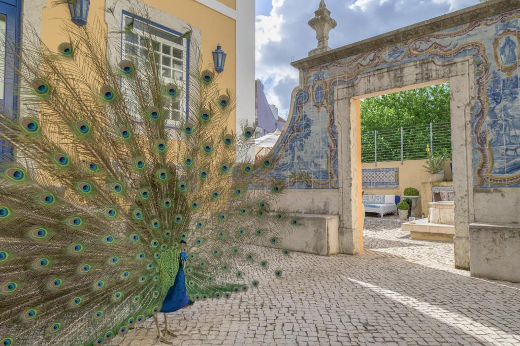 Galería fotográfica de Solar do Castelo - Lisbon Heritage Collection - Alfama en Lisboa