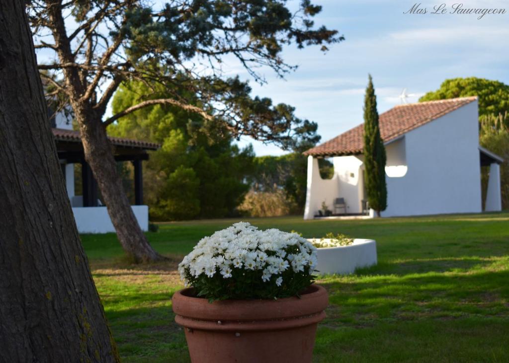 Un jardín fuera de MAS MLS