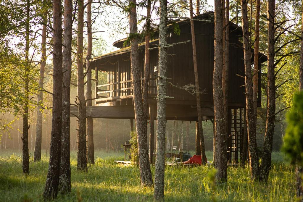 domek na drzewie w środku lasu w obiekcie Sambliku Treehouse w mieście Jõgisoo