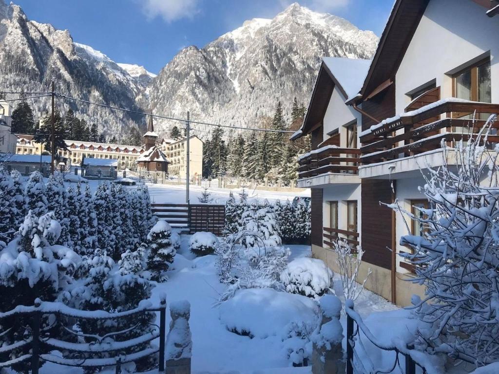 einen schneebedeckten Garten mit Bergen im Hintergrund in der Unterkunft Villa Ermitage in Buşteni