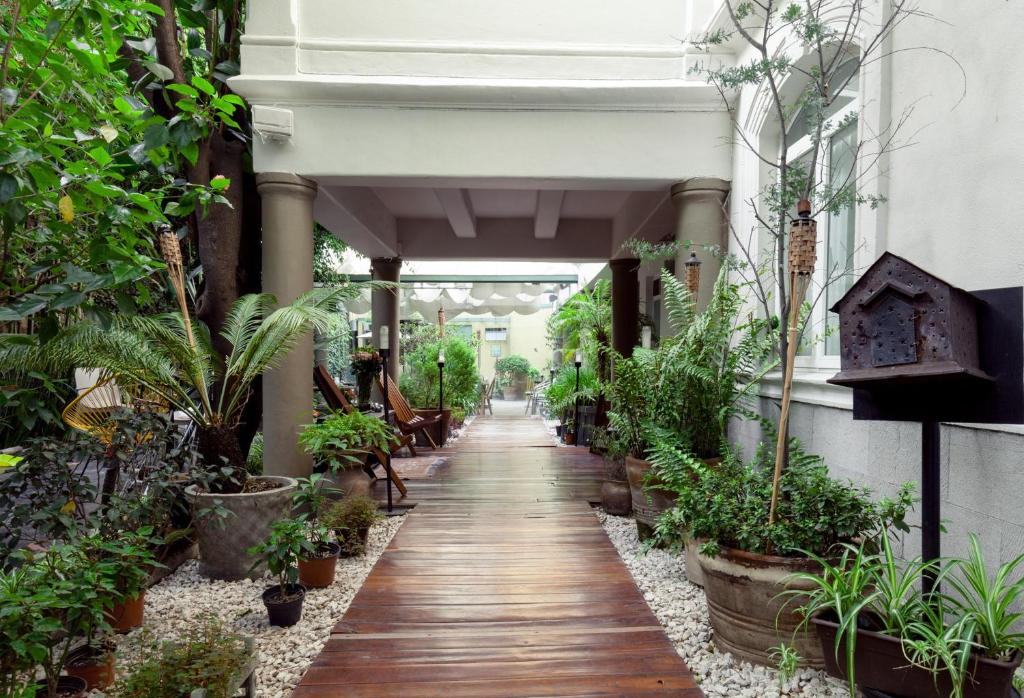 a hallway filled with potted plants in a building at Hotel Villa Condesa in Mexico City