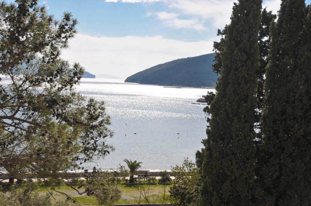 einen Blick auf einen See von zwei Bäumen in der Unterkunft Hotel Oaza in Budva