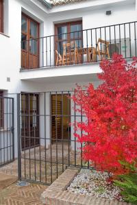 una casa con un albero rosso di fronte a una recinzione di Smart Suites Albaicin a Granada