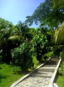 un chemin dans un parc planté de palmiers et d'herbes dans l'établissement Hôtel Bois Joli, à Terre-de-Haut