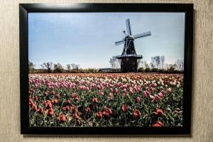 ein Bild eines Blumenfeldes mit einer Windmühle in der Unterkunft Marv Herzog Hotel in Frankenmuth