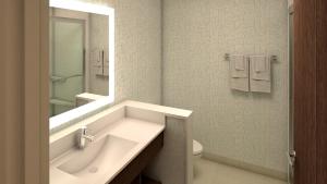 Bathroom sa Holiday Inn Express - Fort Walton Beach Central, an IHG Hotel