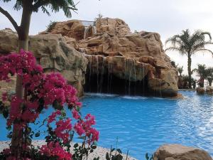 a waterfall in a pool at a resort with pink flowers at Dan Eilat Hotel in Eilat