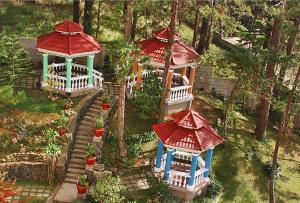 A garden outside Hotel Elizabeth - Baguio