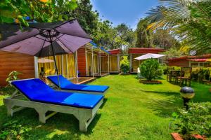 - une cour avec 2 chaises bleues et un parasol dans l'établissement Zulu Land cottages - near Curlies beach shack and shiva valley - Anjuna beach, à Anjuna