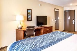 Comfort Inn & Suites Niagara Falls Blvd USA TV 또는 엔터테인먼트 센터