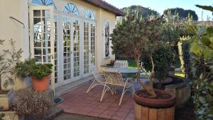 een patio met een tafel, stoelen en planten bij Hotel Quadrifoglio by Mancini in Rome