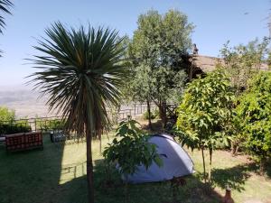 Top Twelve Hotel - Lalibela tesisinin dışında bir bahçe