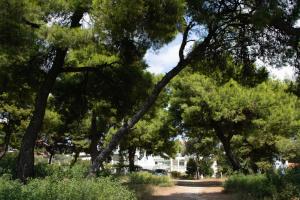 Un paisaje natural cerca del hotel