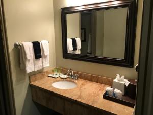 a bathroom with a sink and a mirror and towels at Driftwood Lodge in Springdale