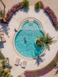 A piscina localizada em The Kasa Malindi - 'formerly Leopard Point Beach Resort' ou nos arredores