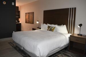 a large white bed in a hotel room at Zion Canyon Lodge in Springdale