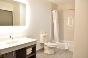 a bathroom with a toilet and a sink and a shower at Zion Canyon Lodge in Springdale