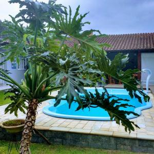 un par de palmeras junto a una piscina en Pousada Açai, en Paraty