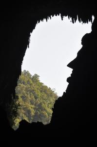 ムルにあるMulu National Parkの背景に木々が植えられた洞窟内からの眺め