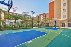 an image of a basketball court in a building at Holiday Inn Express & Suites - Gainesville I-75, an IHG Hotel in Gainesville