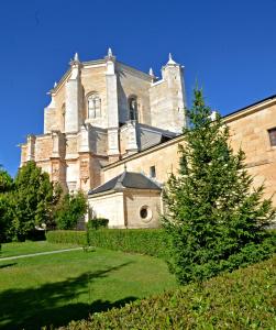 La Vid y BarriosHospedería Monasterio de La Vid的前面有一棵树的大建筑