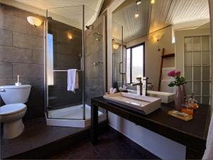 a bathroom with a sink and a shower and a toilet at Hotel Villa Condesa in Mexico City