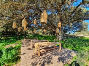 Jardí fora de Santa Ponsa Fontenille Menorca