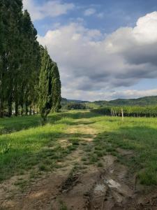 Un paisaje natural cerca del departamento