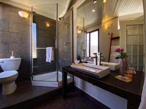 a bathroom with a shower and a sink and a toilet at Hotel Villa Condesa in Mexico City