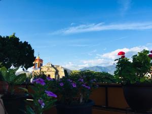 a view of a building with flowers on a balcony at Hotel Cazomalli Oaxaca in Oaxaca City