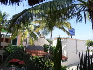 a view from the courtyard of a hotel with palm trees at Hotel Palapa Palace in Tuxtla Gutiérrez