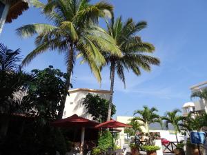 a couple of palm trees in front of a building at Hotel Palapa Palace in Tuxtla Gutiérrez