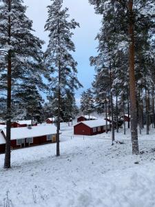 Hotell Moskogen under vintern