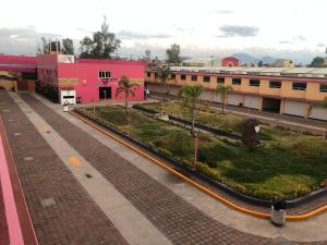 an empty street with palm trees and a pink building at Hotel & Villas 7 in Mexico City