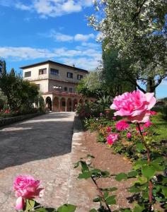 un bâtiment avec des fleurs roses devant lui dans l'établissement Villa Paradiso, à Sirmione